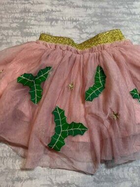 Mini Boden Pink Tulle Skirt Holly Appliques Gold Waist 2-3Y